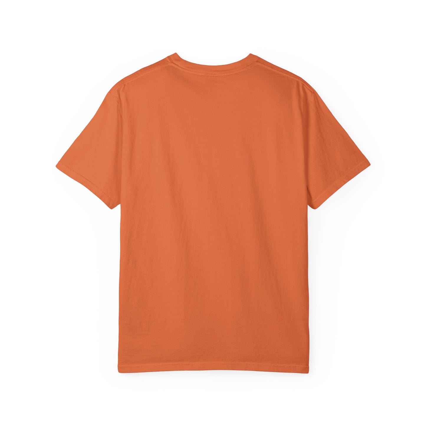 Not Today Cat T-shirt